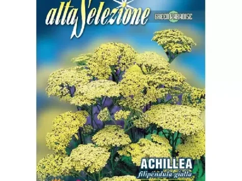 As flori - coada șoricelului filipendula galbena plic 0.4 gr - imagine 1