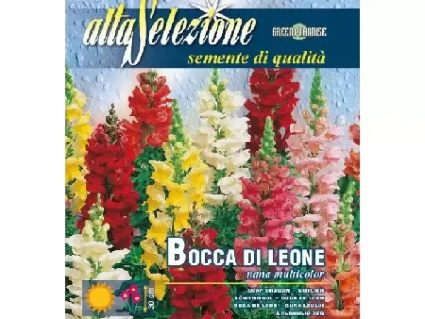 As flori - gura leului pitic multicolor 1.3g - imagine 1