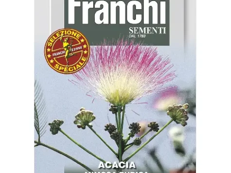 As flori - mimosa pudica plic 2 gr - imagine 1