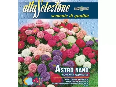 As flori - nalba de gradina dubla multicolor plic 0.8 gr - imagine 1