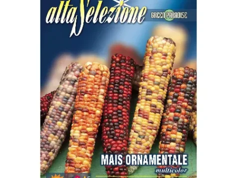 As flori - porumb ornamental mix plic 8 gr - imagine 1