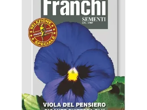 As - panseluțe elvețiene gigantice albastre - imagine 1