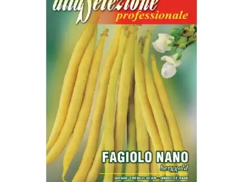 As profesionale fasole oloaga pitica berggold plic 75gr - imagine 1