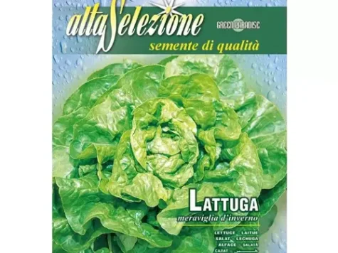 As profesionale salata meraviglia d'inverno 15 grame - imagine 1
