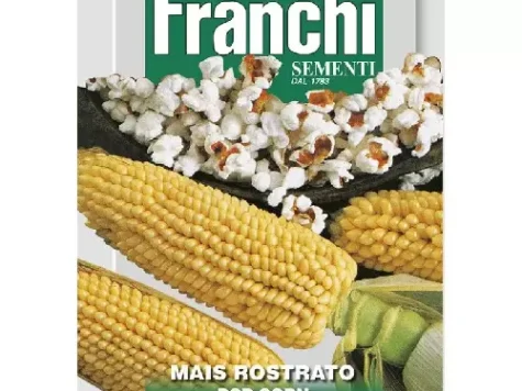As professionale 8 grame porumb popcorn - imagine 1