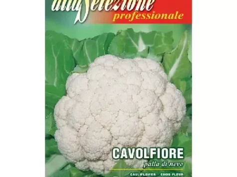 Conopida palla di neve - imagine 1