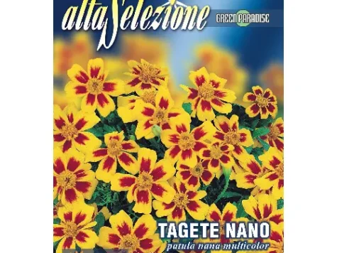 Crăițe pitice petula nana multicolor - imagine 1