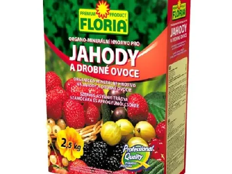 Floria - Îngrășământ organo-mineral căpșuni 2.5kg - imagine 1