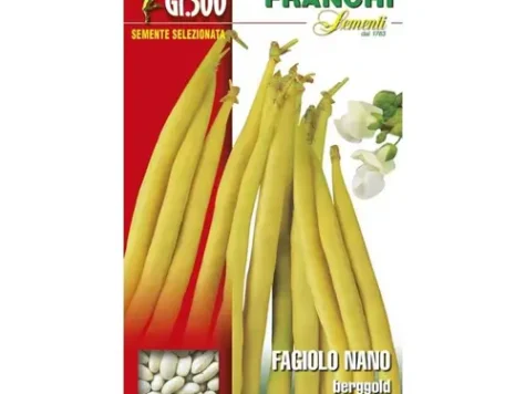 Fs - Fasole oloaga galbena berrgold - imagine 1