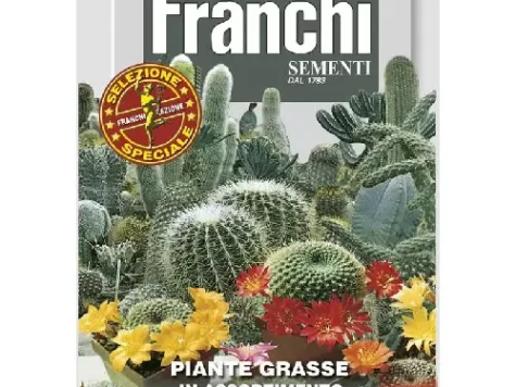 Fs - Semințe Plante grase in amestec - imagine 1