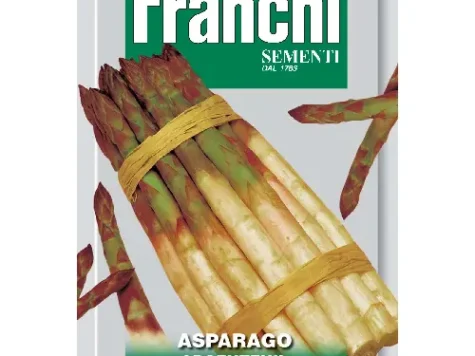 Fs - Semințe Sparanghel - imagine 1