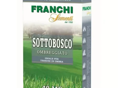 Gazon franchi sementi sottobosco, cutie 250 g - imagine 1