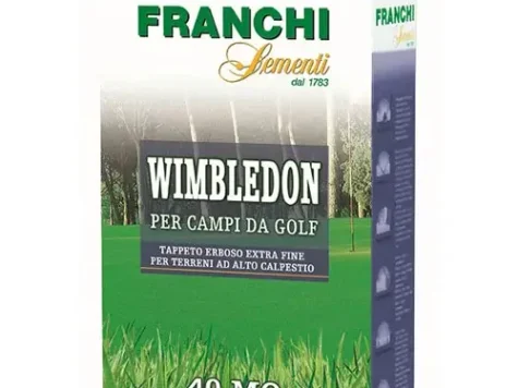 Gazon franchi sementi wimbledon, cutie 250 gr creștere lenta - imagine 1