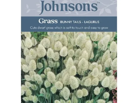 Grass bunny tails - imagine 1