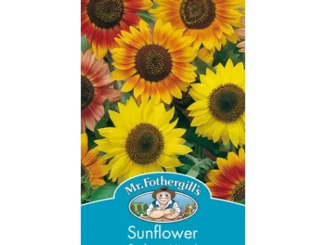 Helianthus annuus sunburst mix am - imagine 1
