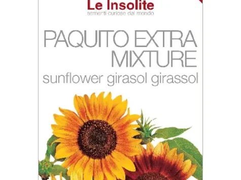 Le Insolite - semințe floarea soarelui - imagine 1