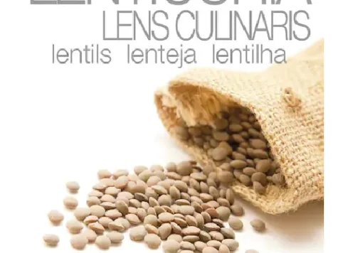 Le insolite - linte plic 15g - imagine 1