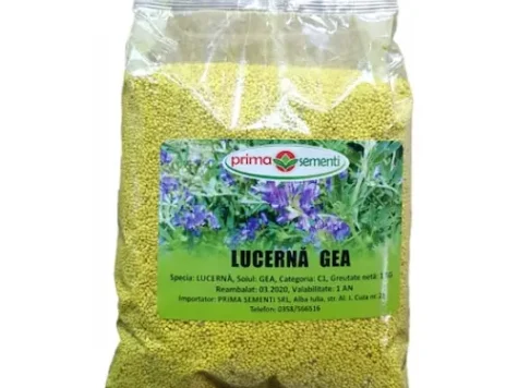 Lucerna gea, 1 kg - imagine 1