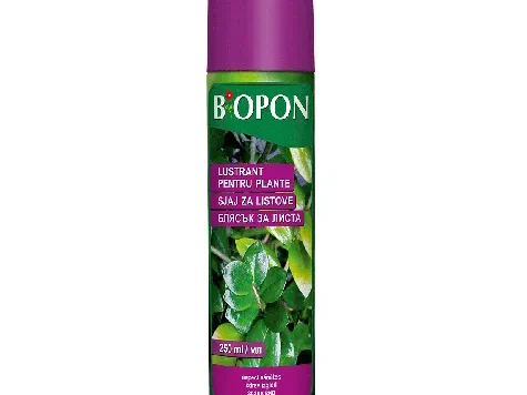 Luciu de frunze aerosol 250 ml - imagine 1