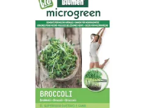 Microgreen - broccoli ramoso calabrese - 3 foi - imagine 1