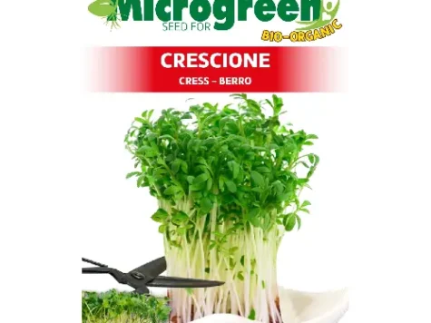Microgreen - creson comun 3 foi - imagine 1