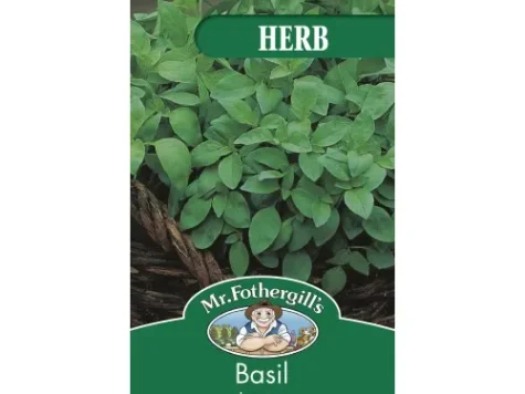 Ocimum basilicum lemon am - imagine 1