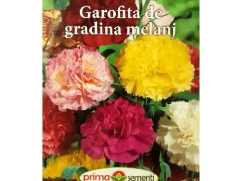 PS GAROFITA DE GRADINA MELANJ - imagine 1