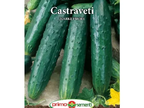PS - Semințe castraveți Marketmore 2g - imagine 1