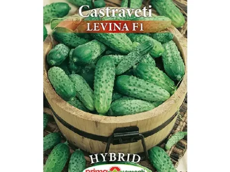 PS - Semințe de castraveți hibrid Levina F1 10gr - imagine 1