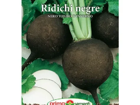 PS - Semințe de ridichi negre Nero Tondo 6gr - imagine 1