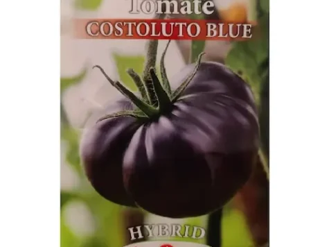 PS - Semințe de roșii negre Costoluto Blue hibirid 0.1gr - imagine 1