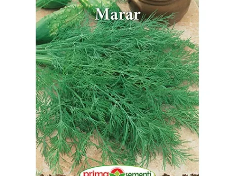 PS - Semințe mărar 1.5g - imagine 1