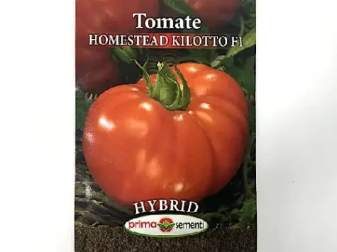 PS TOMATE HOMESTEAD F1 - imagine 1