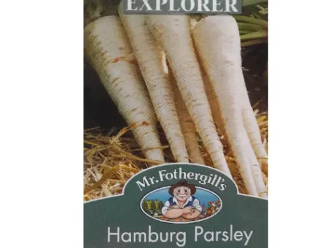 Petroselium crispum hamburg kinga am - imagine 1