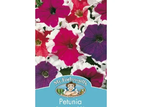 Petunia - frost mixed f1 - imagine 1