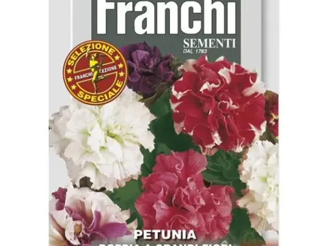 Petunia pitica dubla multicolor - imagine 1
