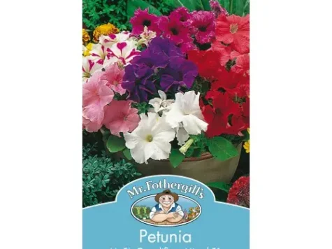 Semințe - petunia grandiflora succes 360 light yellow 1000 s - imagine 1