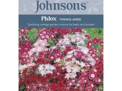 Phlox twinkle mixed - imagine 1