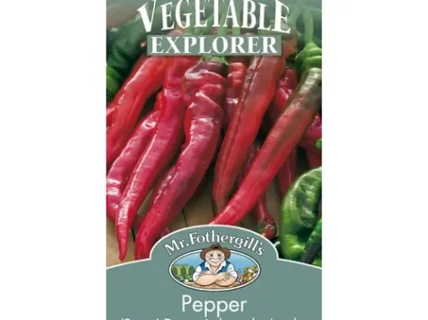 Piper - pepper - sweet doux tres long des landes - imagine 1