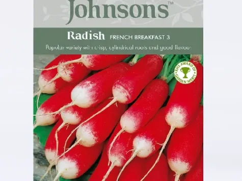 Raphanus sativus french breakfast am - imagine 1