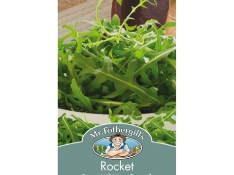Rocket buzz (all year round) - imagine 1