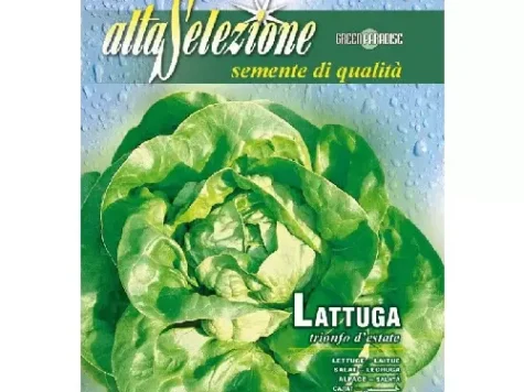 Salată de căpățână trionfo d'estate - imagine 1