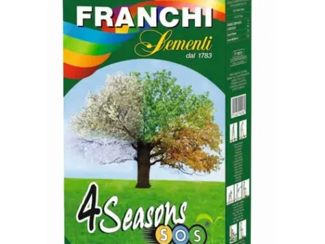 Semințe de gazon 4 anotimpuri - imagine 1