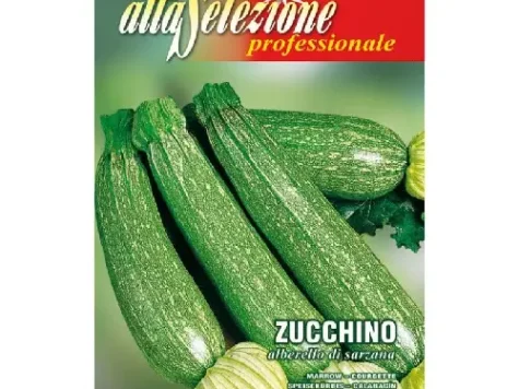 Semințe dovlecel Albarello di Sarzana - imagine 1