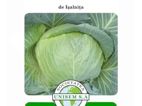 Sta Varza de Ișalnița - imagine 1