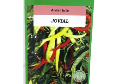 Sta Semințe ardei Jovial - imagine 1