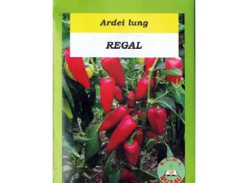Sta Ardei Regal - imagine 1