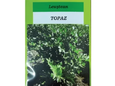 Sta leustean topaz 5 g - imagine 1