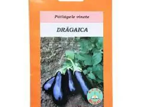 Sta vinete Drăgaica plic 5gr - imagine 1