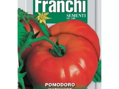 Tomato marmande - imagine 1